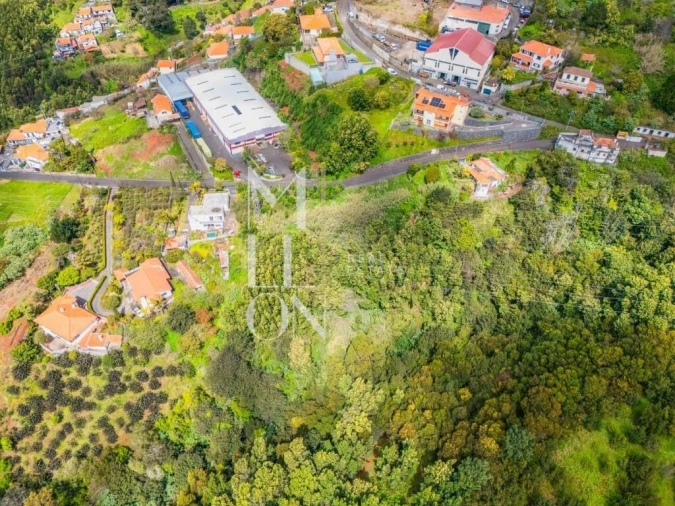 Terreno para Venda em São Gonçalo Foto 7