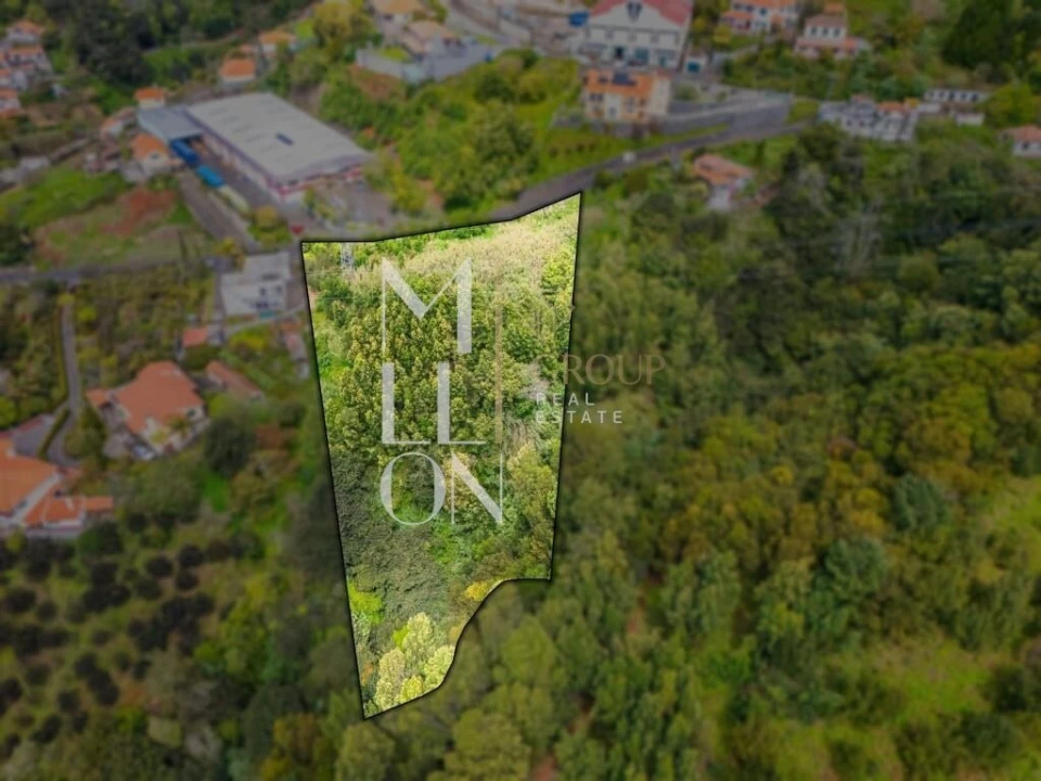 Terreno para Venda em São Gonçalo Foto 12