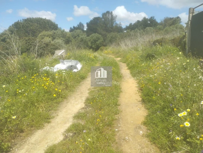 Terreno para Venda em Caparica e Trafaria Foto 17
