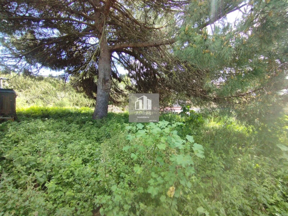 Terreno para Venda em Caparica e Trafaria Foto 13