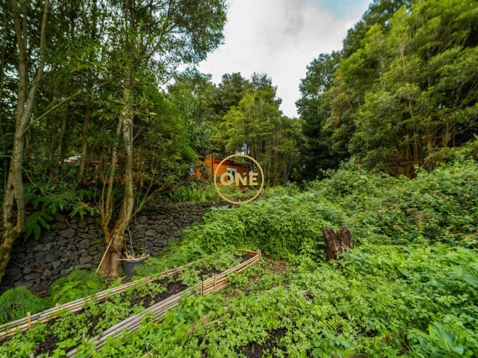 Terreno para Venda em Capelas Foto 12