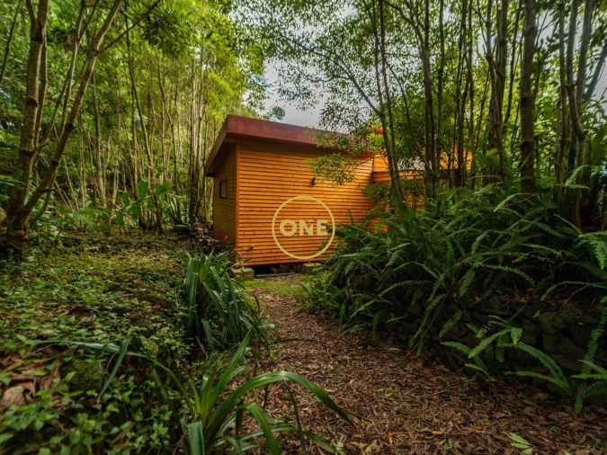 Terreno para Venda em Capelas Foto 13