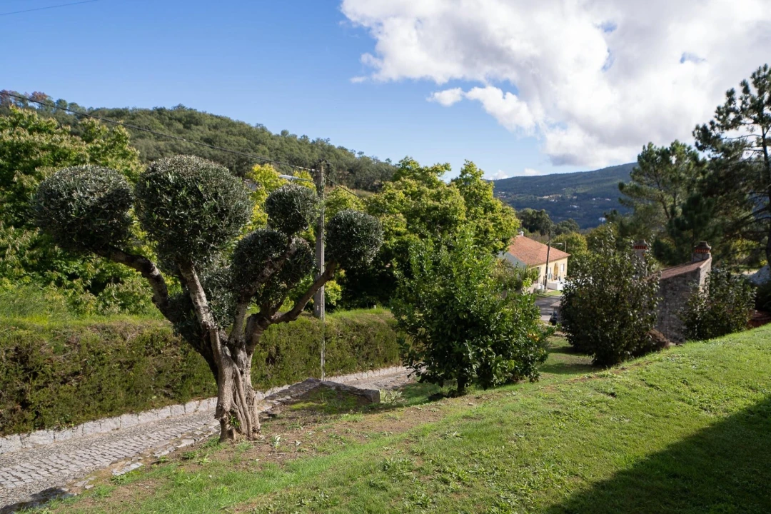 Moradia T4 para Venda em Monchique Foto 40