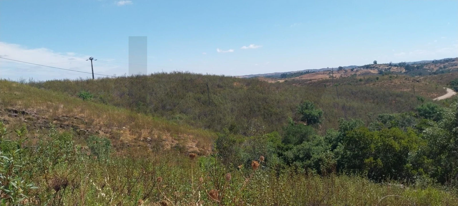 Quinta para Venda em Santana da Serra Foto 2