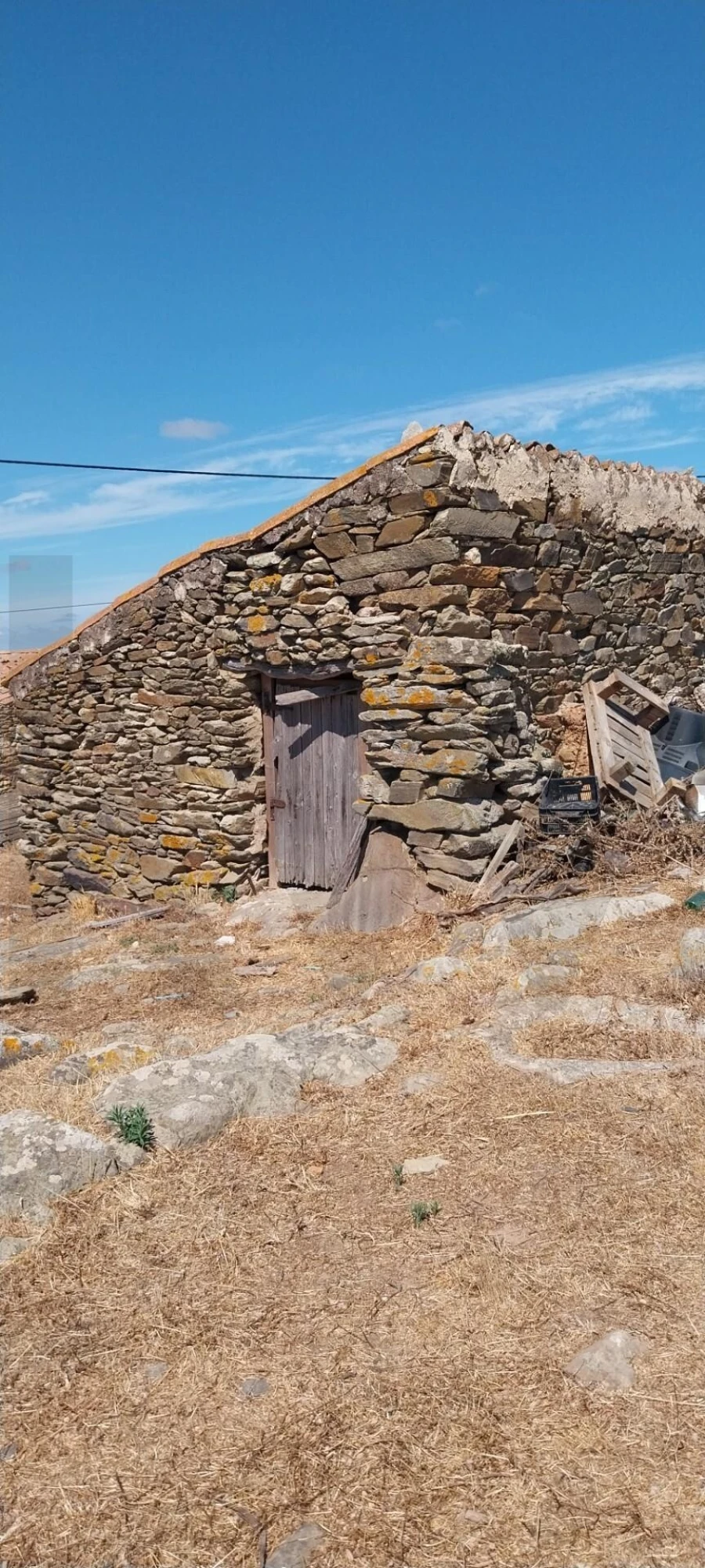 Quinta para Venda em Santana da Serra Foto 6