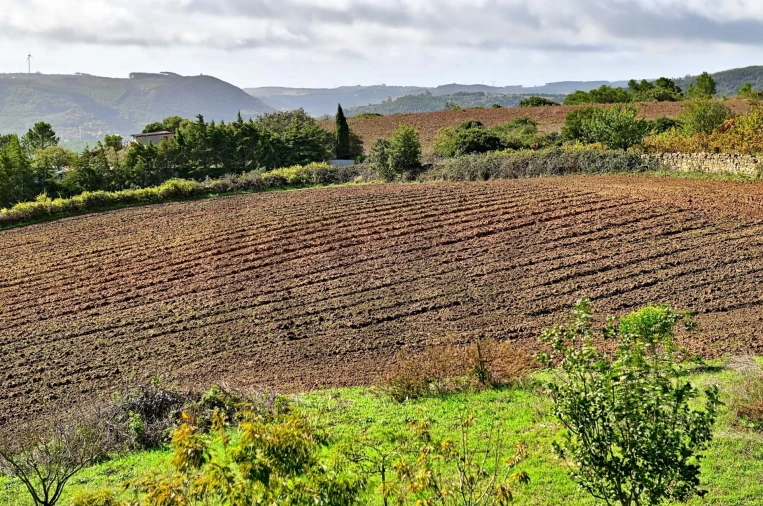 Moradia T4 para Venda em Carnota Foto 40