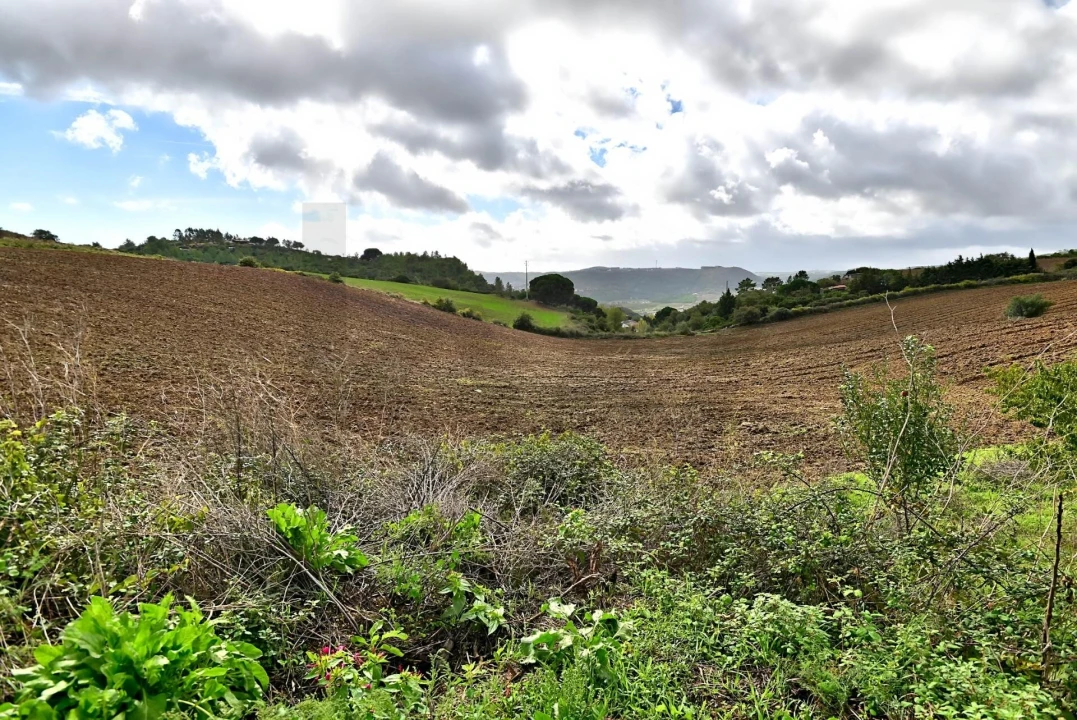 Moradia T4 para Venda em Carnota Foto 47