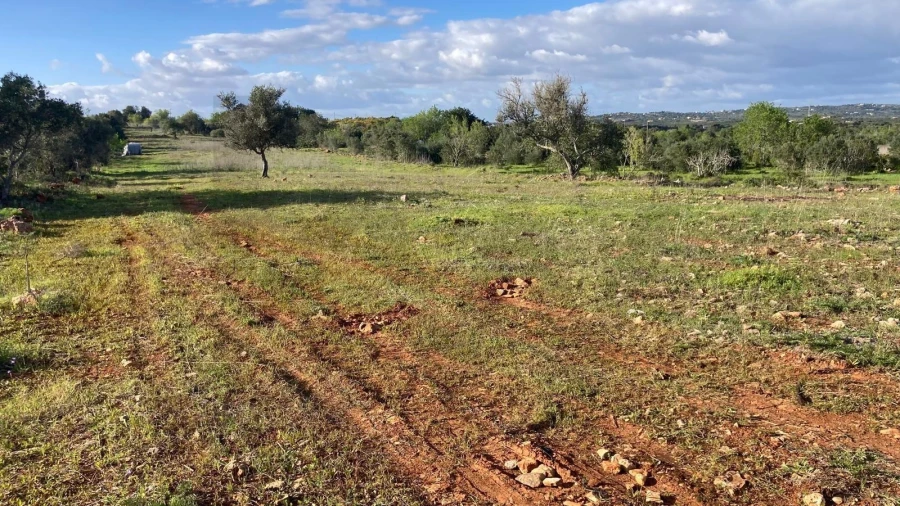 Terreno para Venda em Silves Foto 6