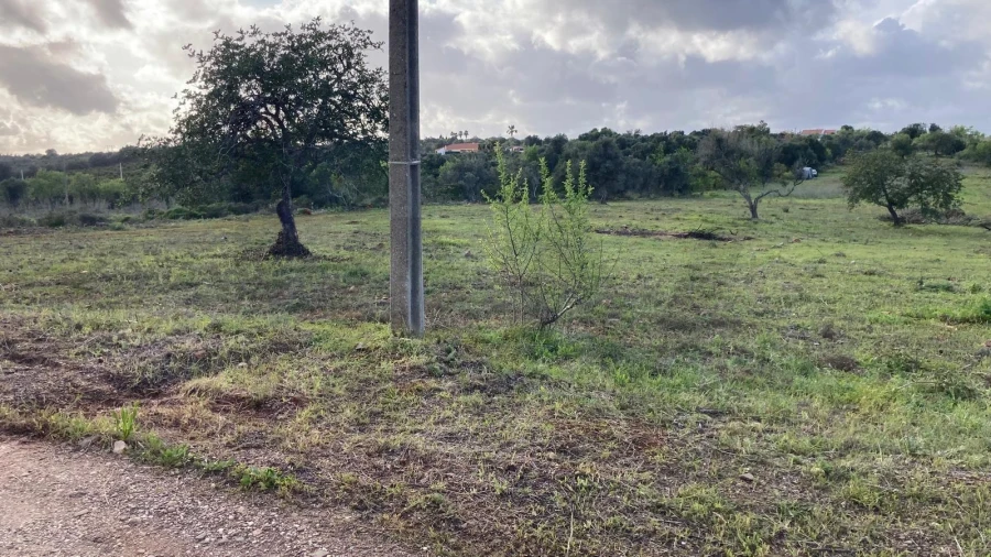 Terreno para Venda em Silves Foto 10