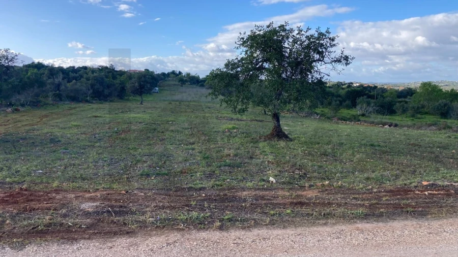 Terreno para Venda em Silves Foto 7