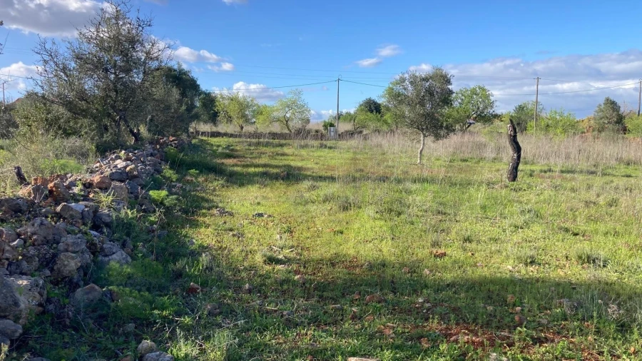Terreno para Venda em Silves Foto 5