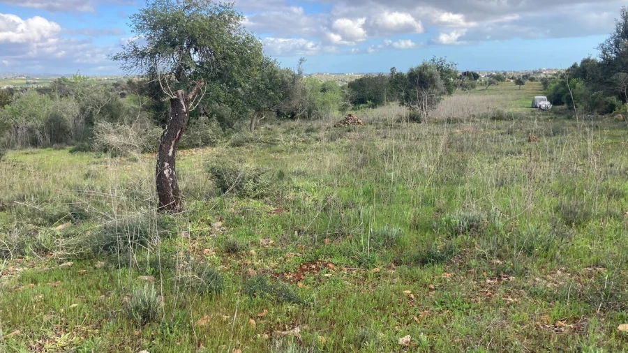 Terreno para Venda em Silves Foto 8