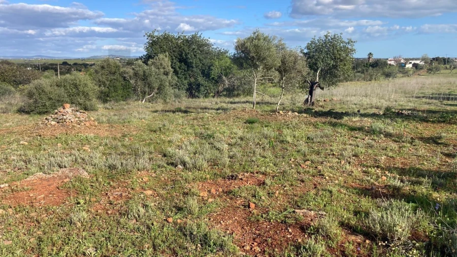 Terreno para Venda em Silves Foto 3