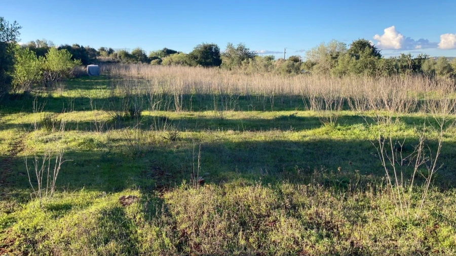 Terreno para Venda em Silves Foto 1