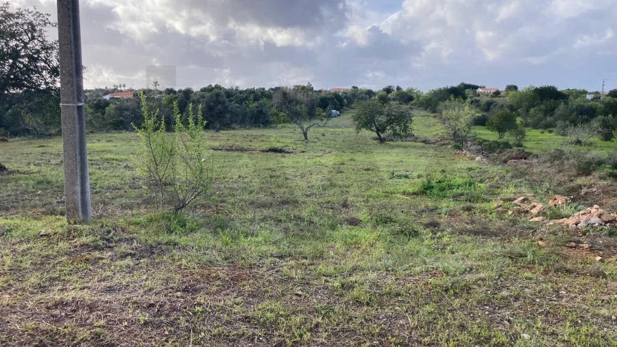 Terreno para Venda em Silves Foto 2