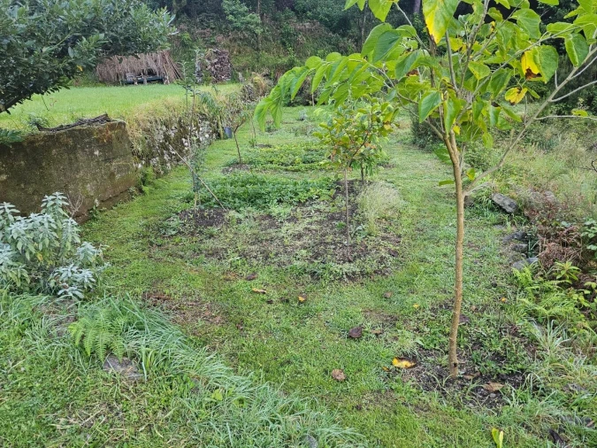 Terreno para Venda em Seixal Foto 5