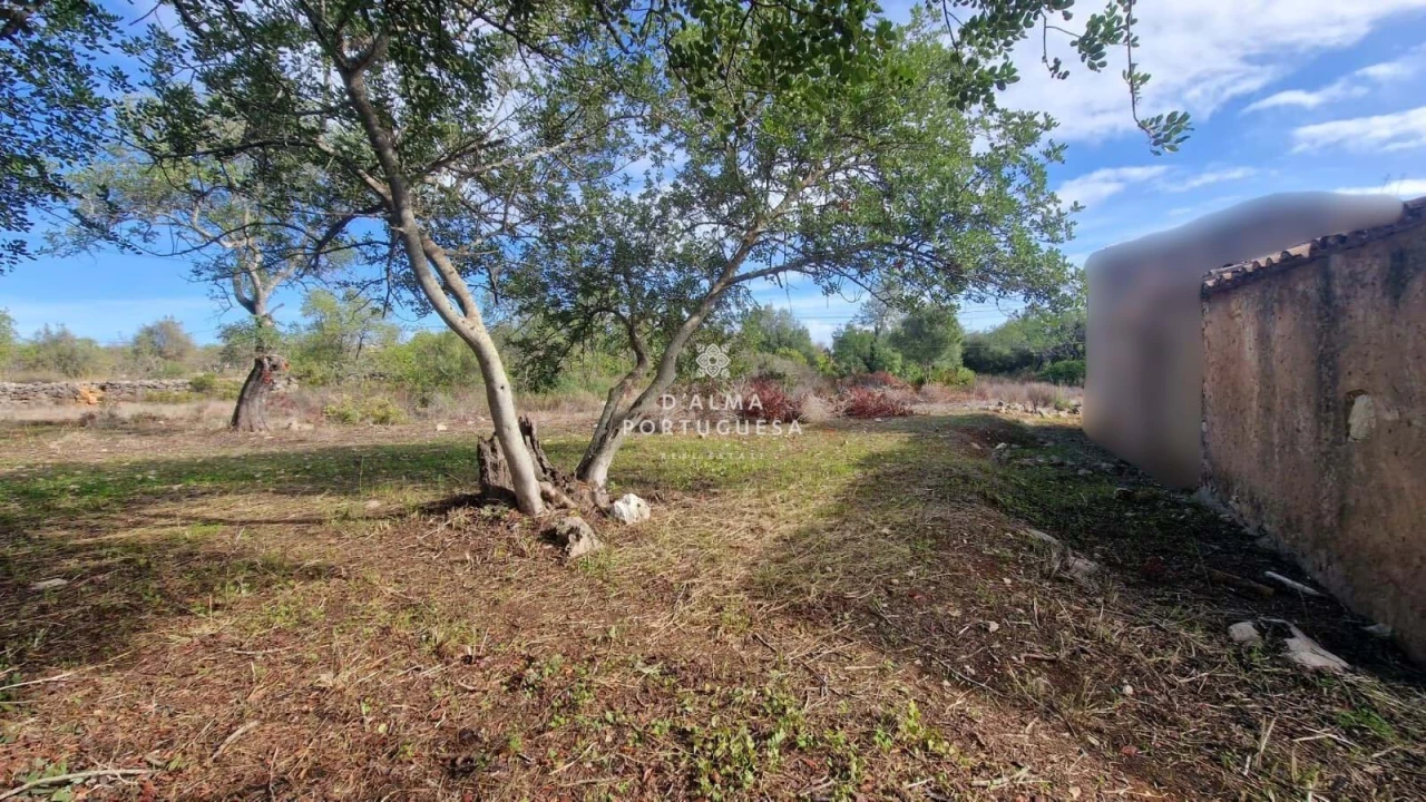 Moradia T2 para Venda em Ferreiras Foto 15