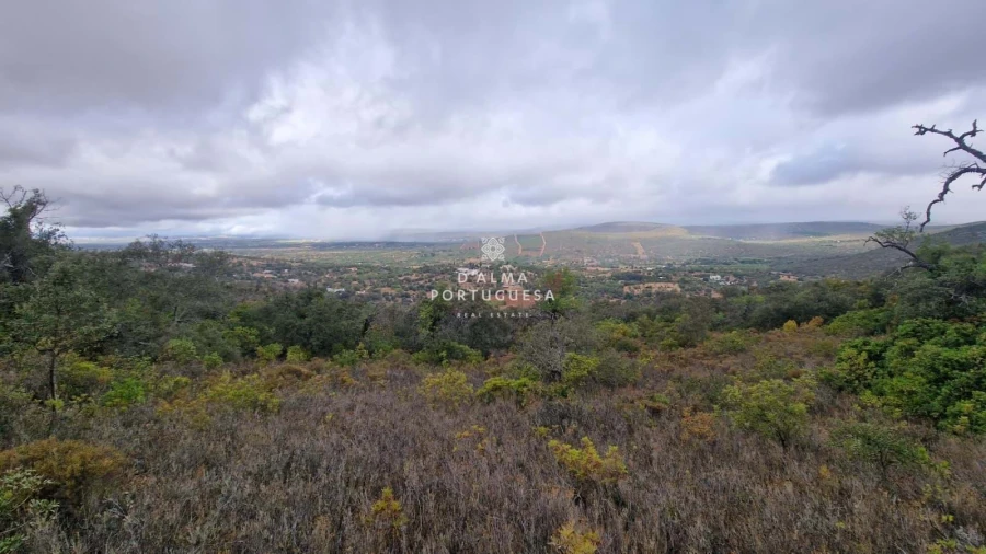 Terreno para Venda em Paderne Foto 4