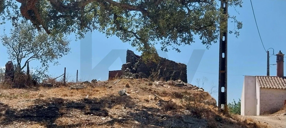 Quinta para Venda em Santana da Serra Foto 4