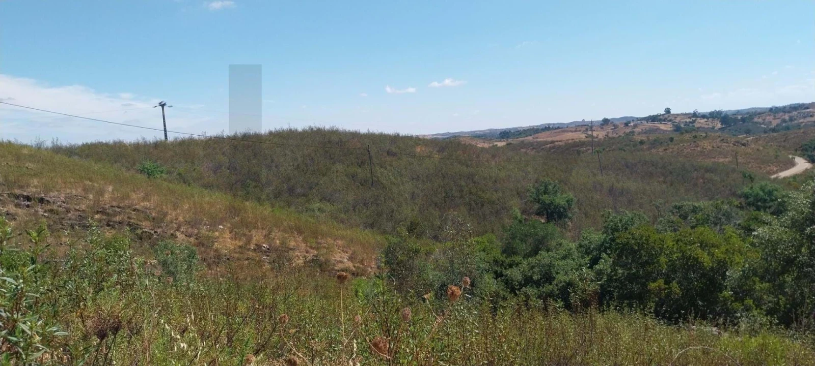 Quinta para Venda em Santana da Serra Foto 2