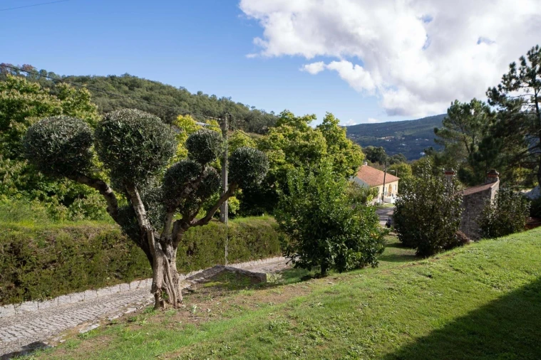 Moradia T4 para Venda em Monchique Foto 40