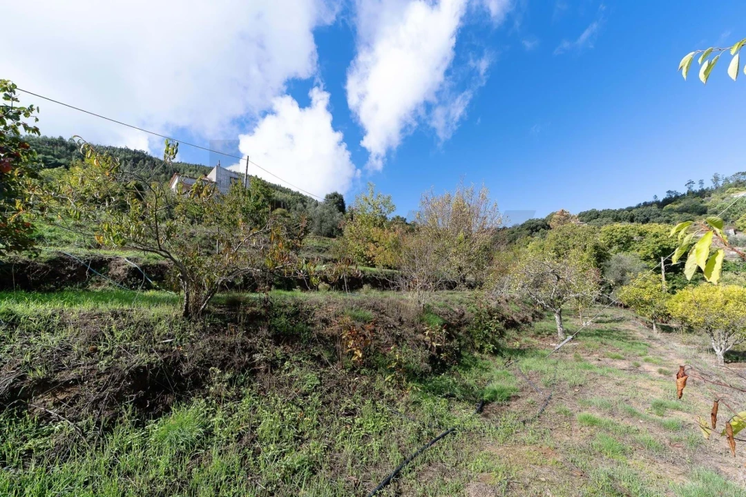 Moradia T4 para Venda em Monchique Foto 42