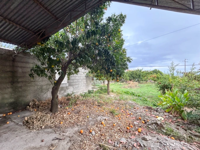 Moradia T3 para Venda em Soalheira Foto 45