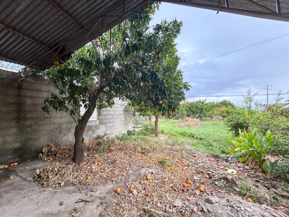 Moradia T3 para Venda em Soalheira Foto 45