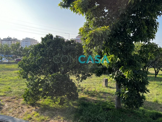 Terreno para Venda em Canidelo Foto 2