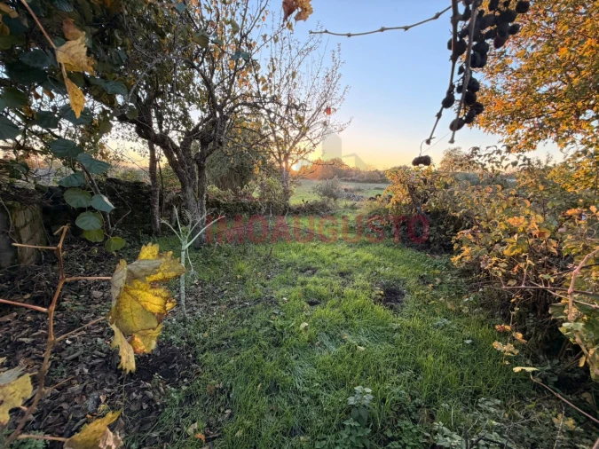 Moradia T5 para Venda em Jarmelo São Pedro Foto 22