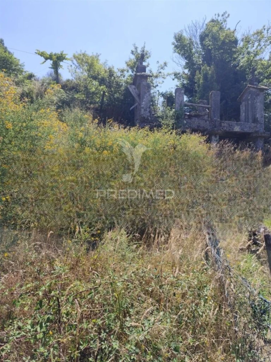 Terreno para Venda em Aboim da Nóbrega e Gondomar Foto 4