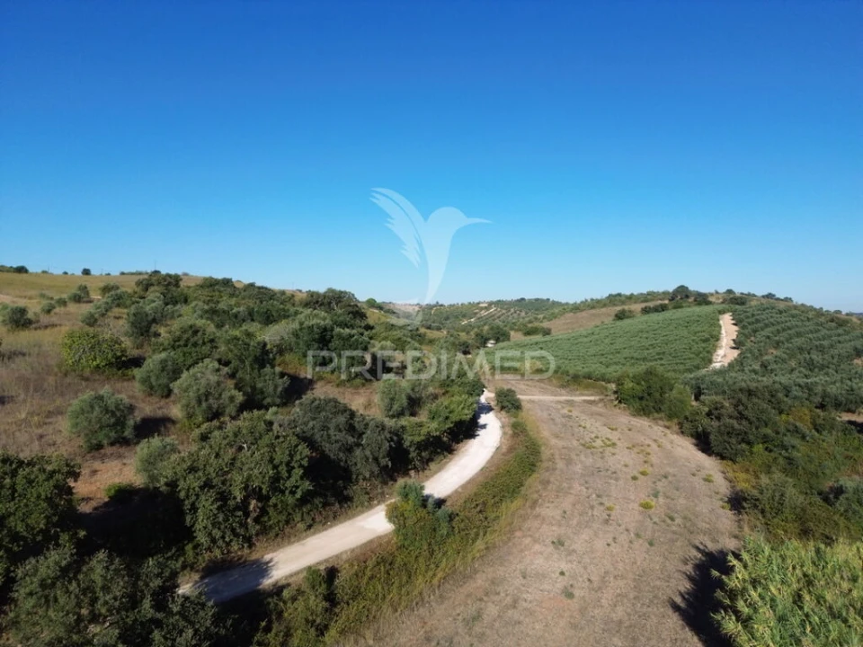 Terreno para Venda em Achete, Azoia de Baixo e Póvoa de Santarém Foto 8