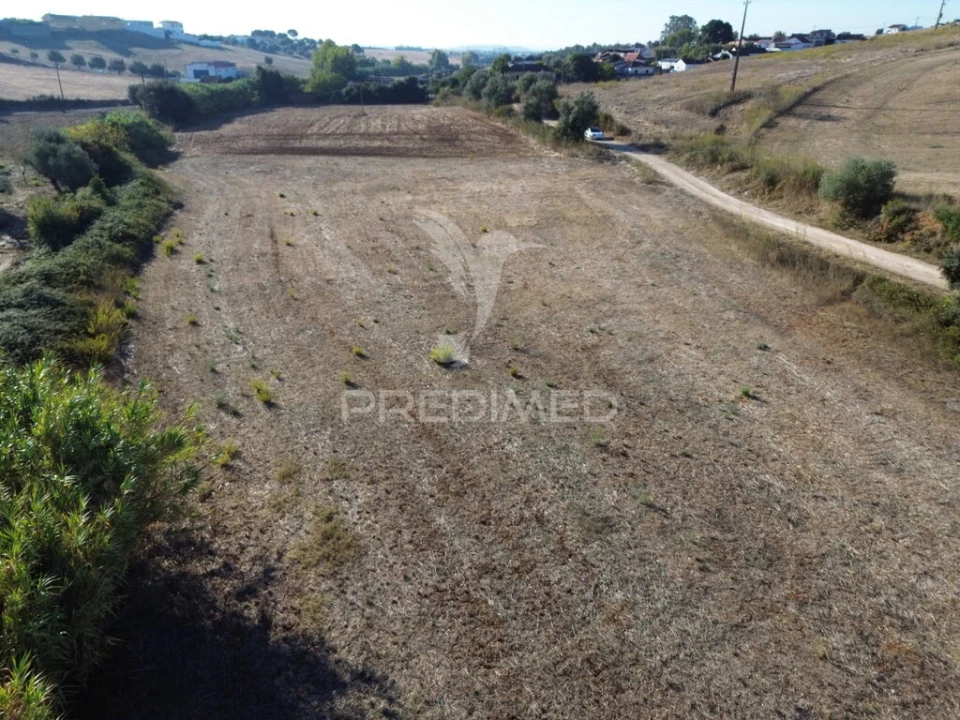 Terreno para Venda em Achete, Azoia de Baixo e Póvoa de Santarém Foto 9