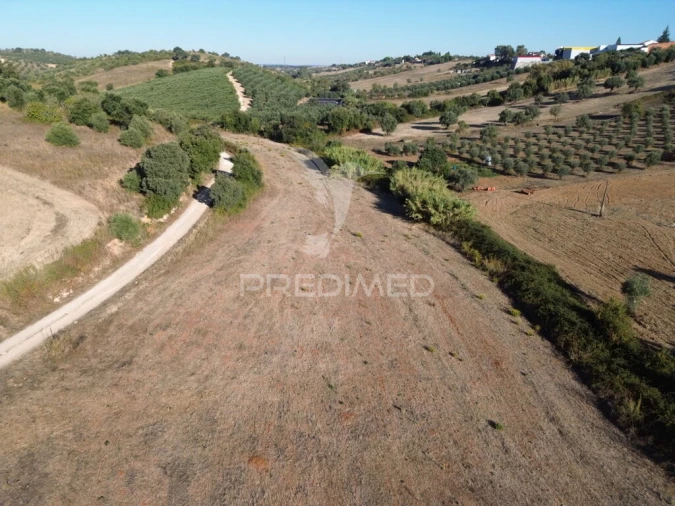 Terreno para Venda em Achete, Azoia de Baixo e Póvoa de Santarém Foto 12