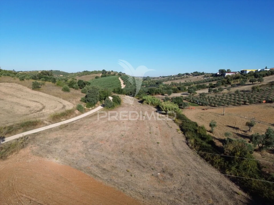 Terreno para Venda em Achete, Azoia de Baixo e Póvoa de Santarém Foto 10