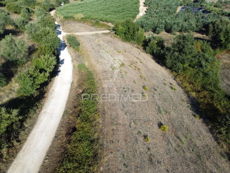 Terreno para Venda em Achete, Azoia de Baixo e Póvoa de Santarém Foto 7