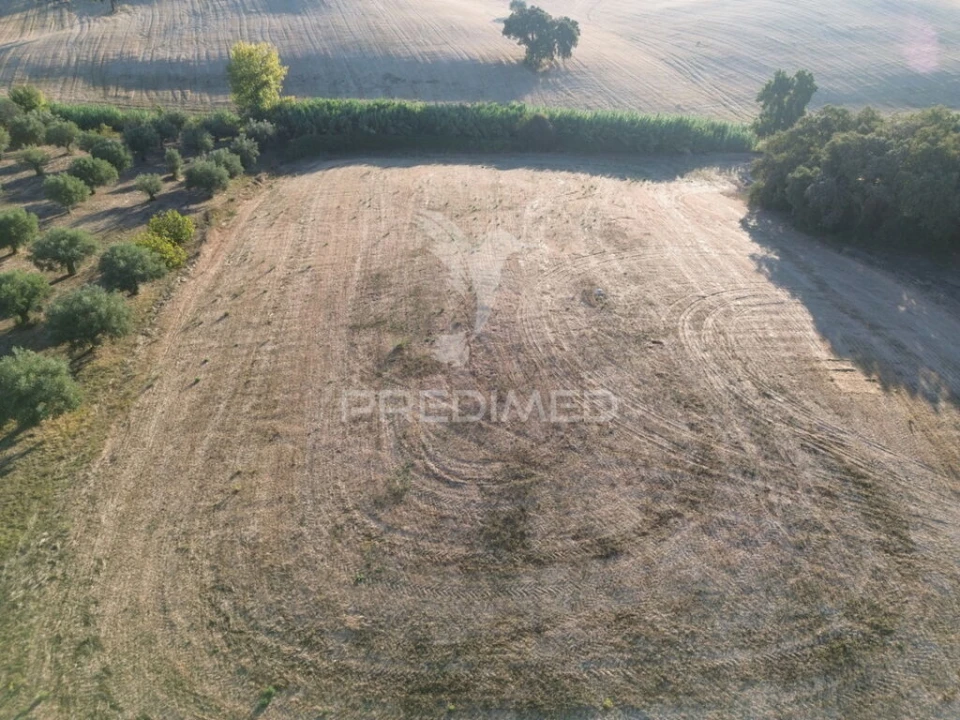 Terreno para Venda em Achete, Azoia de Baixo e Póvoa de Santarém Foto 6