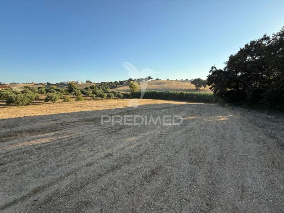 Terreno para Venda em Achete, Azoia de Baixo e Póvoa de Santarém Foto 13