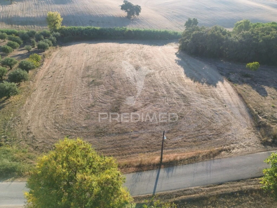 Terreno para Venda em Achete, Azoia de Baixo e Póvoa de Santarém Foto 4