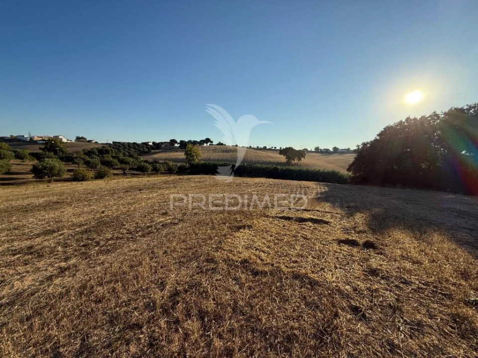 Terreno para Venda em Achete, Azoia de Baixo e Póvoa de Santarém Foto 12