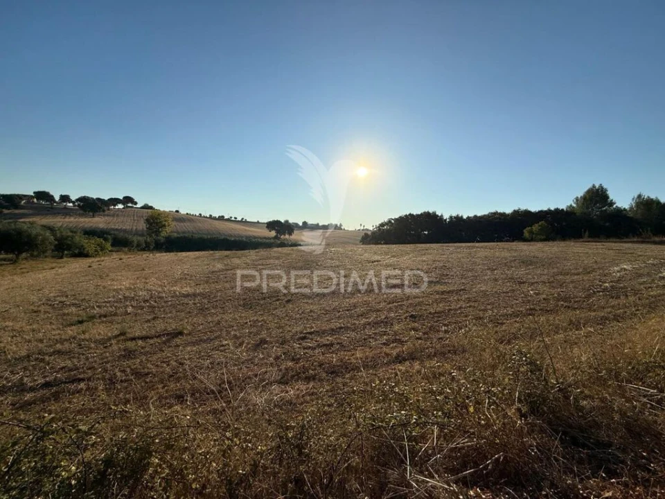 Terreno para Venda em Achete, Azoia de Baixo e Póvoa de Santarém Foto 7