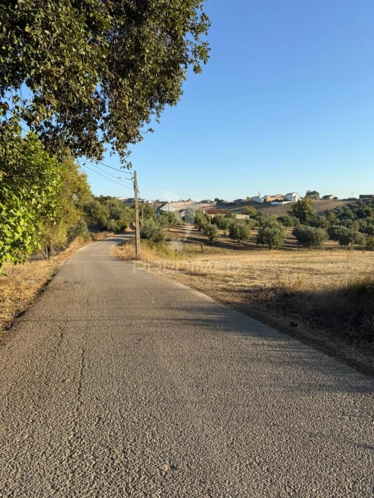 Terreno para Venda em Achete, Azoia de Baixo e Póvoa de Santarém Foto 16