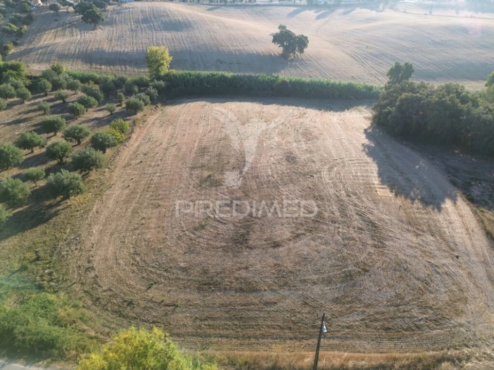 Terreno para Venda em Achete, Azoia de Baixo e Póvoa de Santarém Foto 5