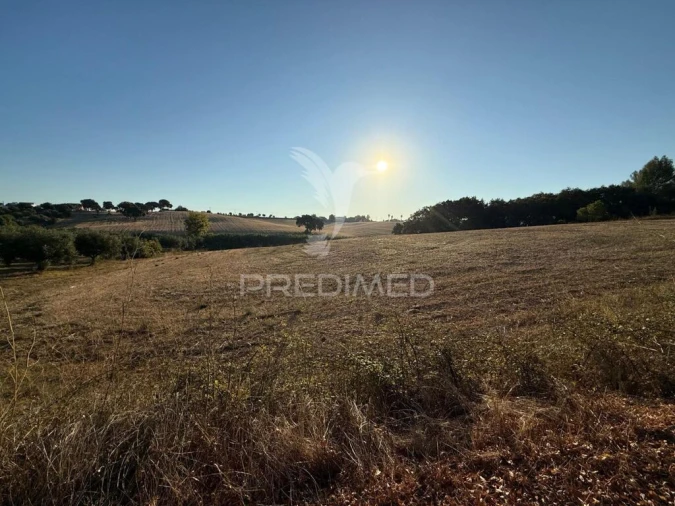 Terreno para Venda em Achete, Azoia de Baixo e Póvoa de Santarém Foto 15