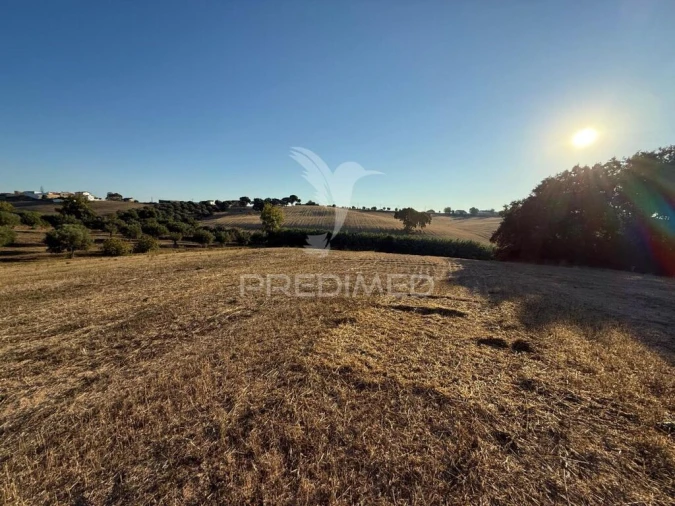Terreno para Venda em Achete, Azoia de Baixo e Póvoa de Santarém Foto 12