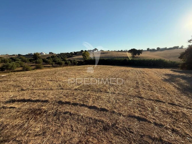 Terreno para Venda em Achete, Azoia de Baixo e Póvoa de Santarém Foto 11