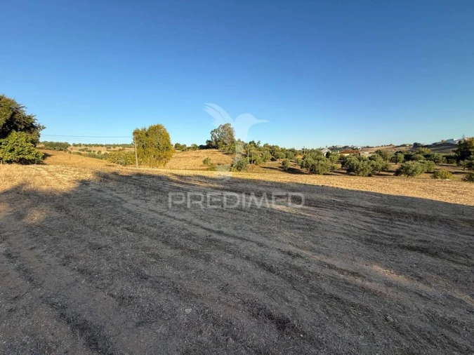 Terreno para Venda em Achete, Azoia de Baixo e Póvoa de Santarém Foto 10