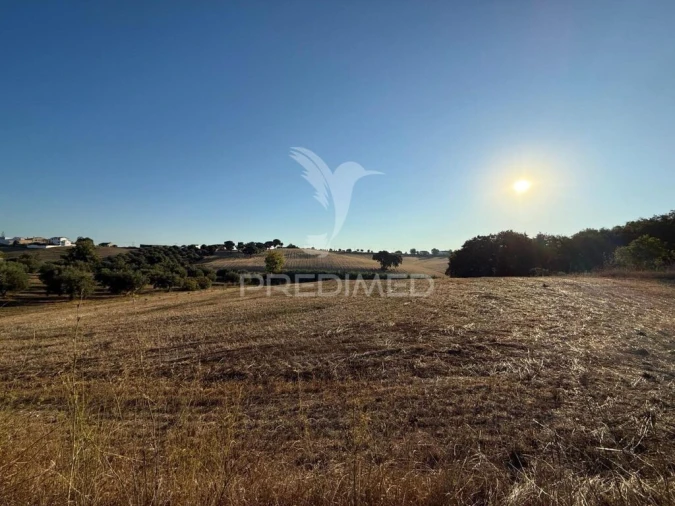 Terreno para Venda em Achete, Azoia de Baixo e Póvoa de Santarém Foto 9