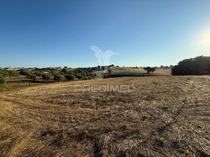Terreno para Venda em Achete, Azoia de Baixo e Póvoa de Santarém Foto 14