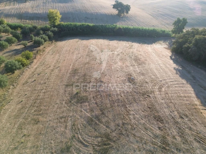 Terreno para Venda em Achete, Azoia de Baixo e Póvoa de Santarém Foto 3